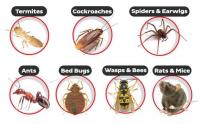 Pest Control Ringwood image 3
